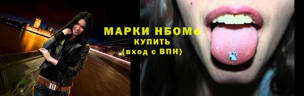 гидра Майский