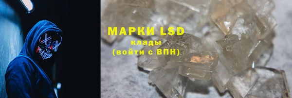 гидра Майский