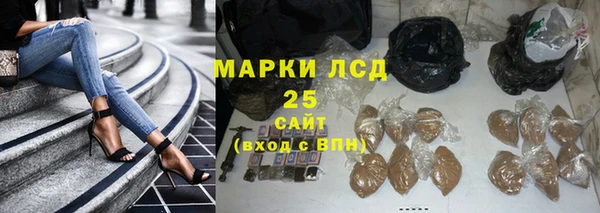гидра Майский